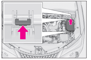 Lexus UX. Kontrollieren und Austauschen von Sicherungen