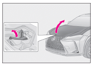 Lexus UX. Motorhaube