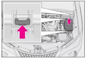 Lexus UX. Kontrollieren und Austauschen von Sicherungen