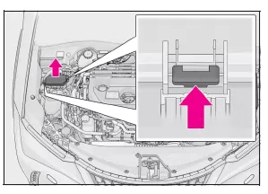 Lexus UX. Kontrollieren und Austauschen von Sicherungen