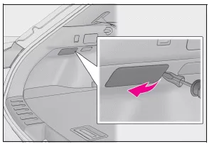 Lexus UX. Wenn die Tankklappe nicht geöffnet werden kann