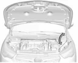 Opel Grandland X. Fahrzeugüberprüfungen